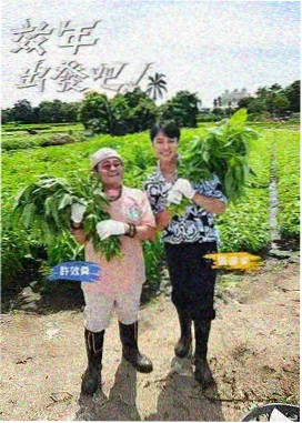 我要结婚了电影网片单我们的共同收藏